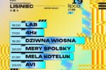 Plakat promujący 13. Festiwal Frytka Off