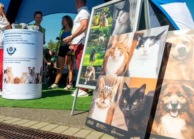 Stoisko Schroniska dla Bezdomnych Zwierząt w Częstochowie - wolontariusze rozmawiają z odwiedzającymi, w tle plansze z fotografiami kotów i psów do adopcji,